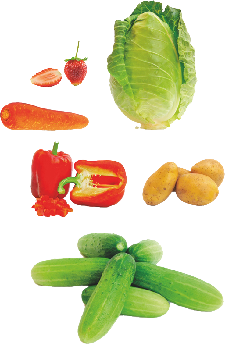 Supermercado Ecológico