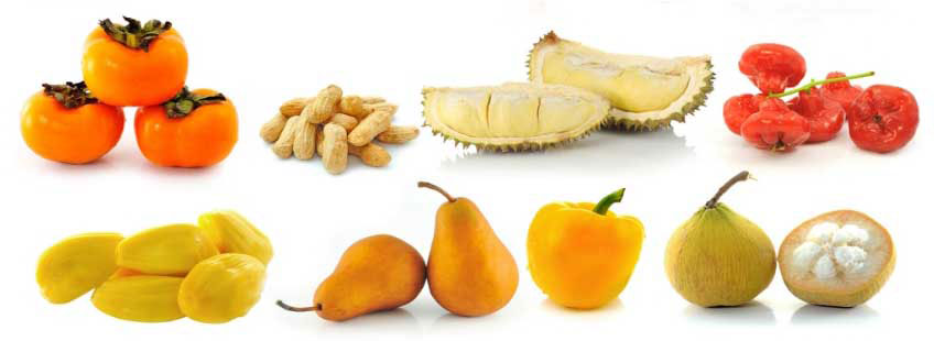 Verduras CataNatura