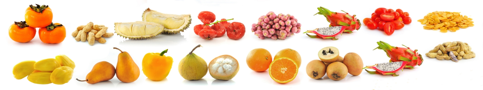 Verduras CataNatura