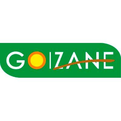 Goizane